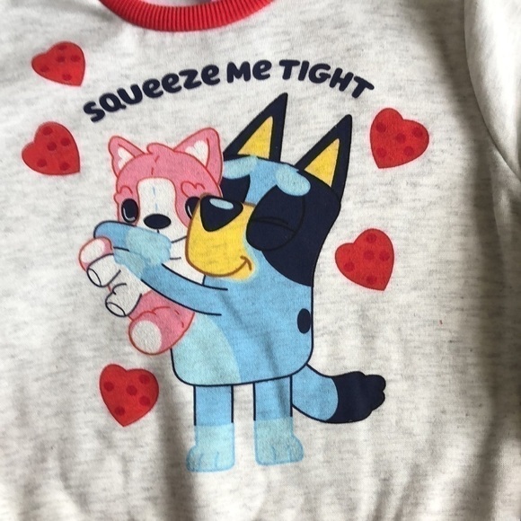 Bluey Long Sleeve Pullover Sweatshirt Printed Toddler Boy Girl Valentine’s Day 4 - Picture 6 of 12